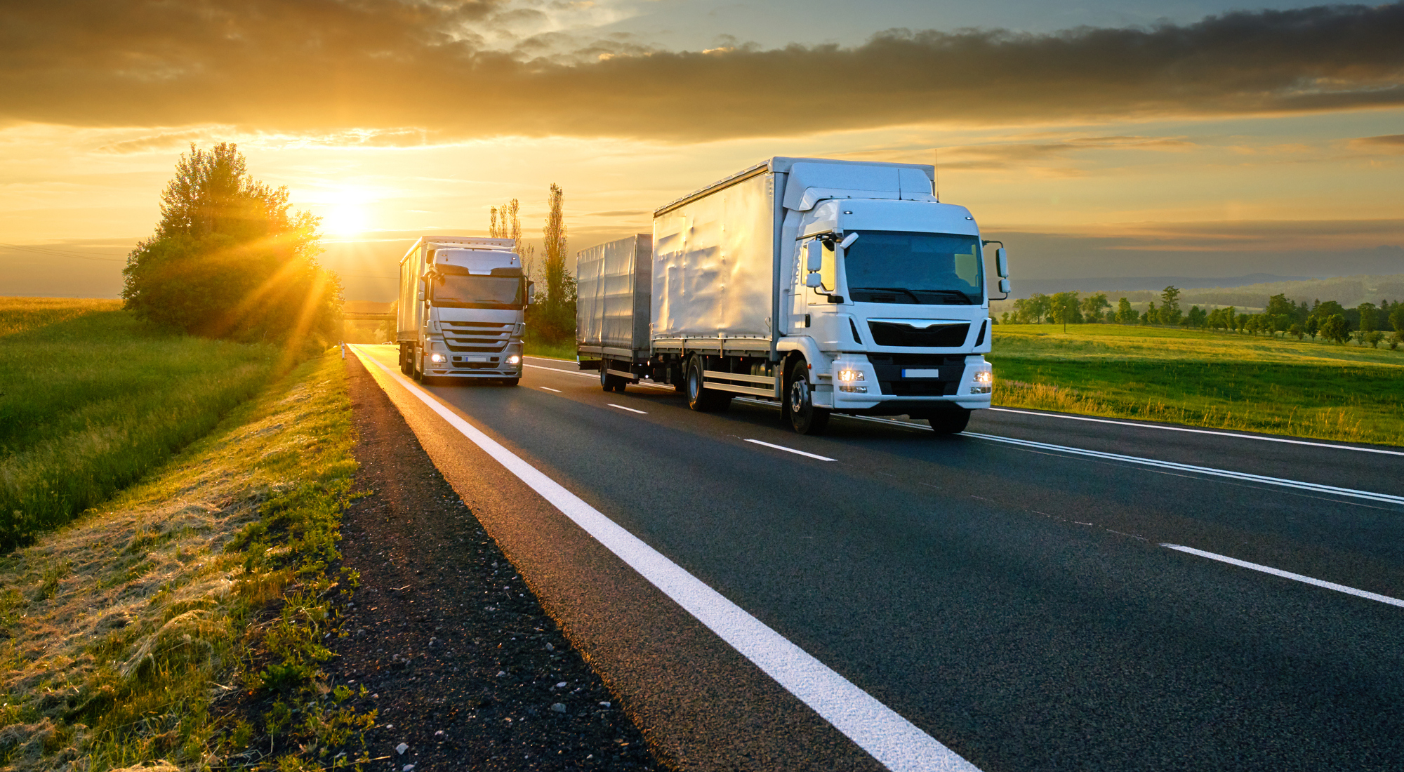 TRANS-WALTER - transport, spedycja